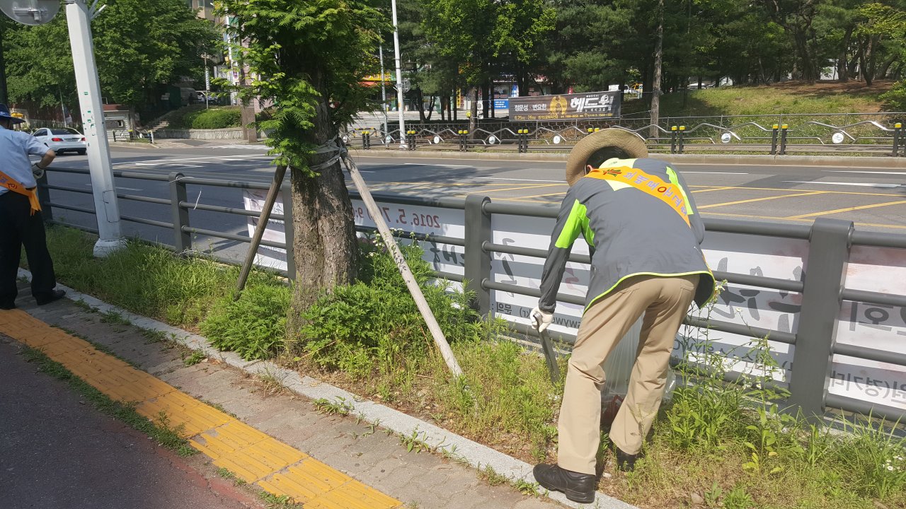 5월 28일 지역청소